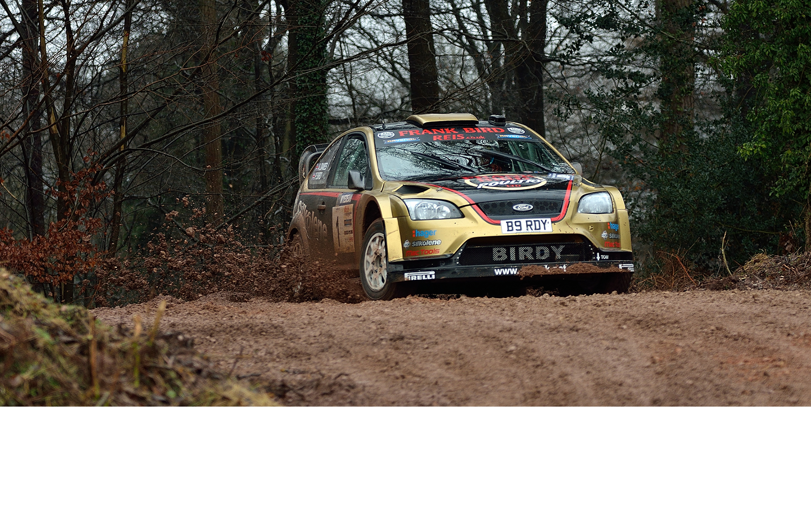 WYEDEAN STAGES 2015 WYEDEAN STAGES 2015