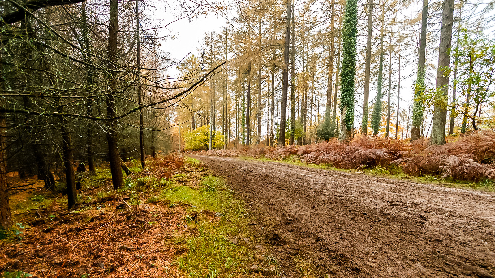 WELSH RALLY CHAMPIONSHIP 2023, ROUND 7, WYEDEAN