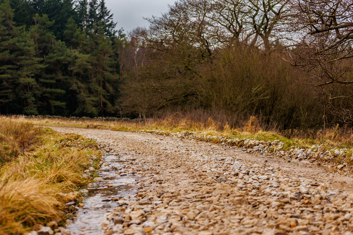 BRITISH HISTORIC RALLY CHAMPIONSHIP 2024 / ROUND 1 / RIPONIAN STAGES