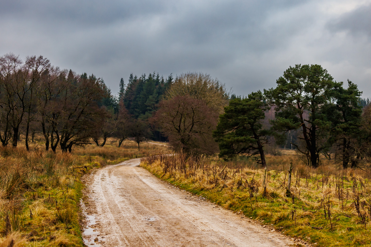 BRITISH HISTORIC RALLY CHAMPIONSHIP 2024 / ROUND 1 / RIPONIAN STAGES