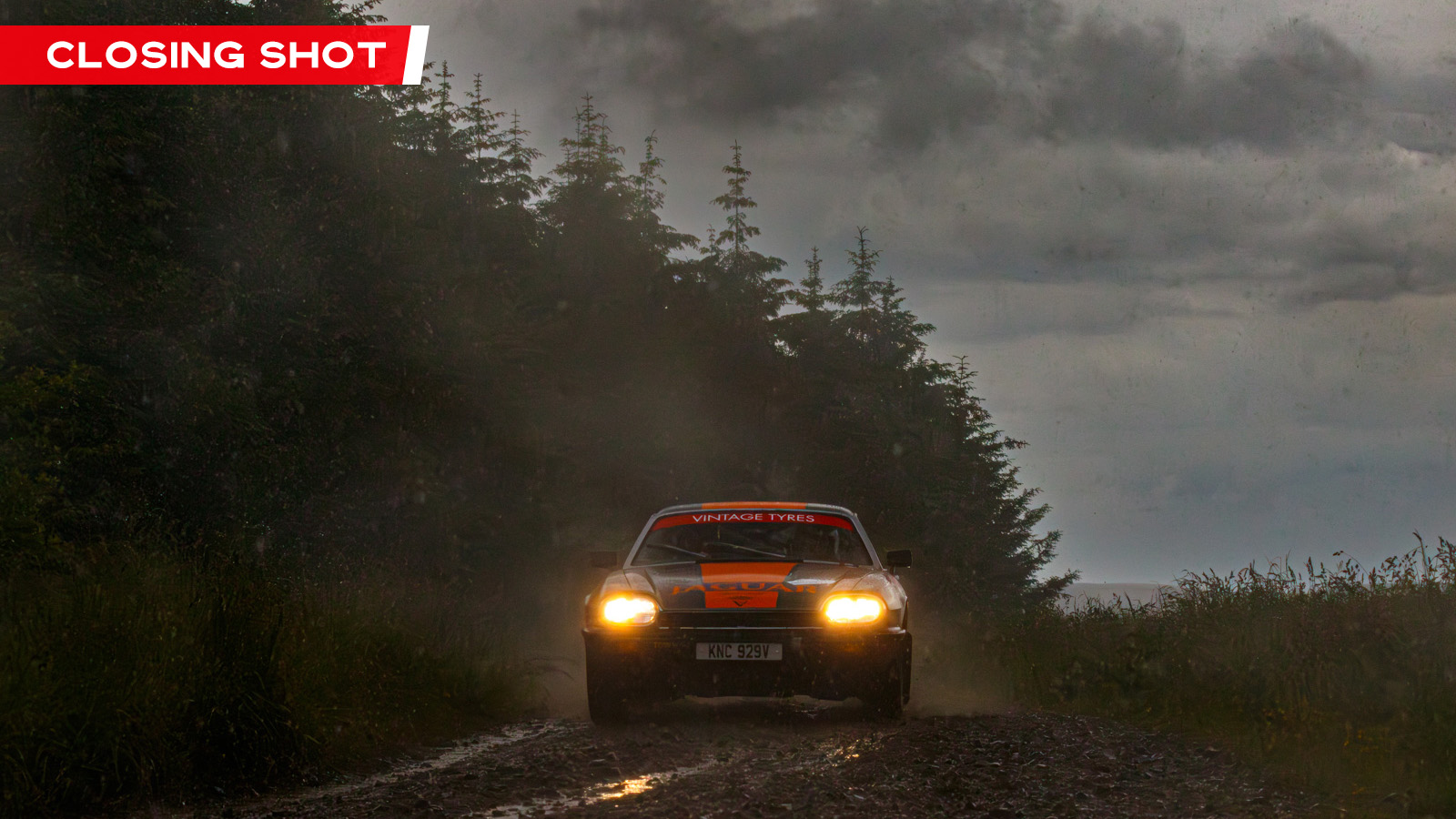 BTRDA | RD4 | KIELDER FOREST RALLY